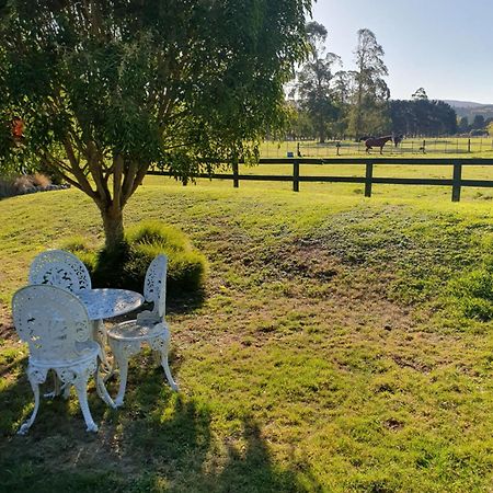 Mangaroa, Farmstay Аппер-Хатт Экстерьер фото